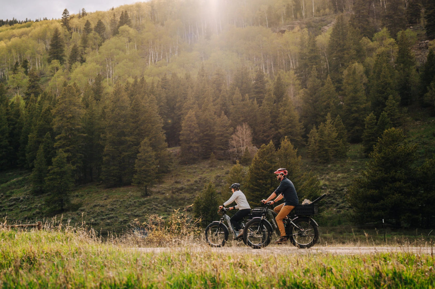 Aventon Aventure 2 Step-Through Ebike