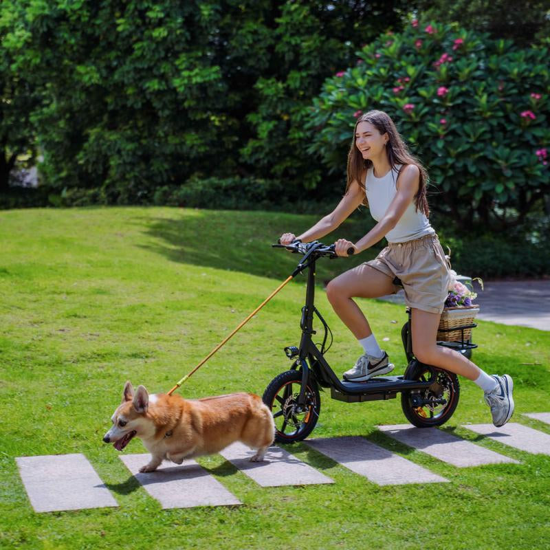 DYU C4 Foldable Scooter, Adult Outdoor Scooter, Space-Saving Commuter Scooter, Easy Handling Mini Bike, Trail City Bike.